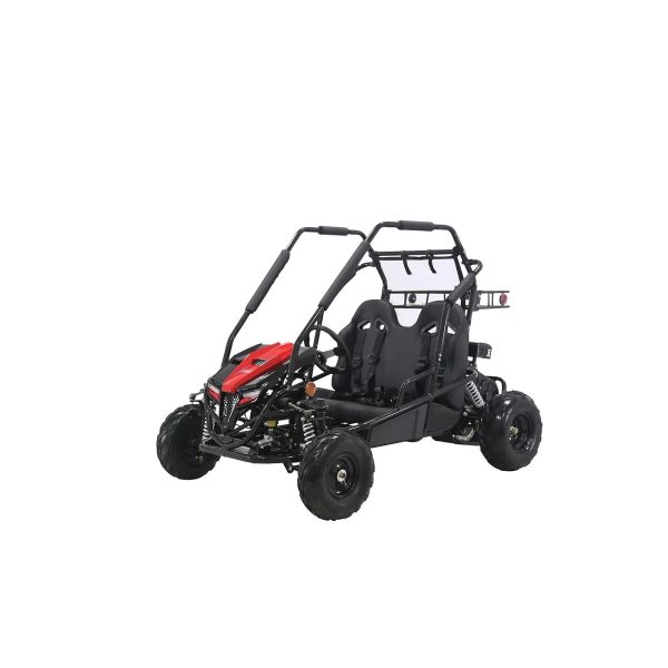 1-312-1.jpg Coleman Powersports GK200 196cc Gas Powered Dual Seat Go-Karts.