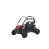1-313-1.jpg Coleman Powersports GK200 196cc Gas Powered Dual Seat Go-Karts.