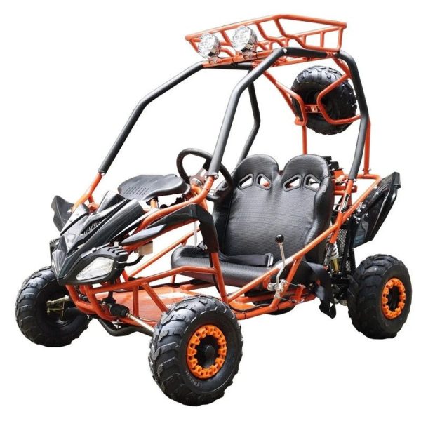 1-314-1.jpg DongFang 125cc Kids Go Karts Type-GTS