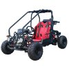 1-337-1.jpg Taotao GK110 Kids Gas Go Kart Dune Buggys.