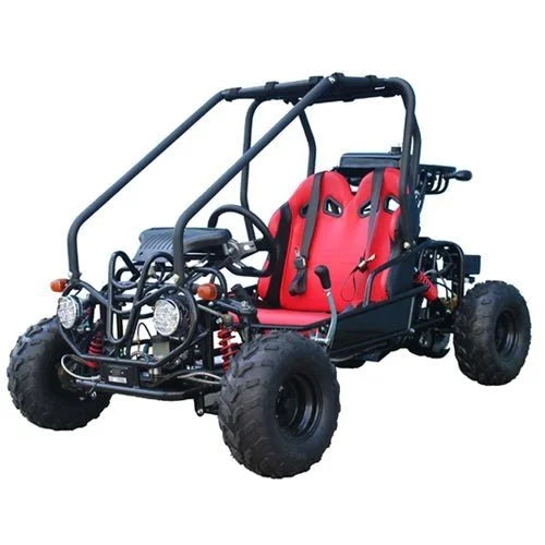 1-337-1.jpg Taotao GK110 Kids Gas Go Kart Dune Buggys.