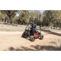 2-154-1.jpg Coleman Powersports GK100 One-Seater Go Karts.