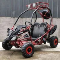 2-156-1.jpg DongFang 125cc Kids Go Karts Type-GTS