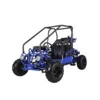 2-167-1.jpg Taotao GK110 Kids Gas Go Kart Dune Buggys.