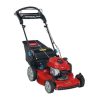 21465.jpg Toro Recycler SmartStow RWD Mower 150cc Briggs & Stratton 6.25 TP (22″) #21465