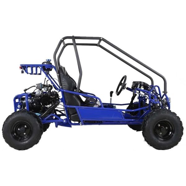 3-158-1.jpg Taotao GK110 Kids Gas Go Kart Dune Buggys.
