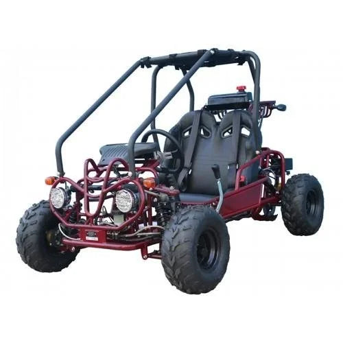 4-134-1.jpg Taotao GK110 Kids Gas Go Kart Dune Buggys.