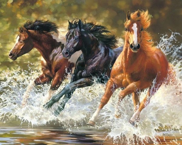 5454917527391.jpg Frameless decorative paintings