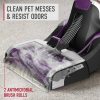 81YEbAlgZgL._AC_SL1500-1-1.jpg Hoover Smartwash Automatic Carpet Cleaner Machine, FH52000, Turquoise