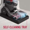 81fJh-_7rrL._AC_SL1500-1.jpg Hoover Smartwash Automatic Carpet Cleaner Machine, FH52000, Turquoise