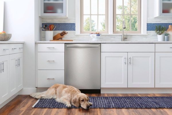 937fc5de-a8e8-4c2e-82c4-02986c6f35a9.1628e64e9e5874160fc7c4cec34db2b3.jpg Frigidaire Gallery 24″ Dishwasher with CleanBoost, Stainless Steel