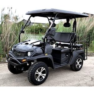 Bighorn-200-Black_a_a922e259-6739-4aa7-9c6f-2b2f4fe2579c.jpg Brand New Gas Golf Cart UTV Hybrid Linhai Big Hammer 200 GVX Side by Side UTV With Custom Rims/Tires – Black