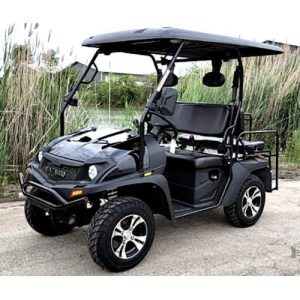 Bighorn-200-Black_a_f02de67a-90c1-423a-a0b7-52f4b6cd3f90.jpg New Gas Golf Cart UTV Hybrid Big Hammer 200 GVX Side by Side UTV With Custom Rims/Tires – Black