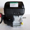 Briggs & Stratton Horizontal Snow Engine 7.5 TP 3/4″ X 2-27/64″ # 10D132-0115
