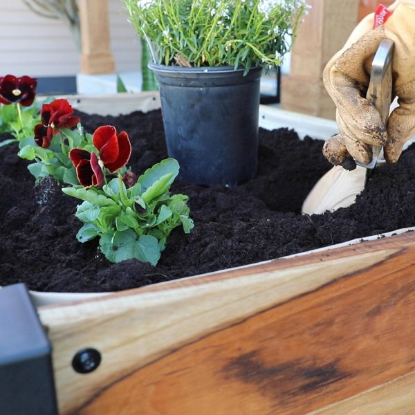 TeakPlanterPriority13-1-1.jpg Planter 100% Authentic Teak Wood