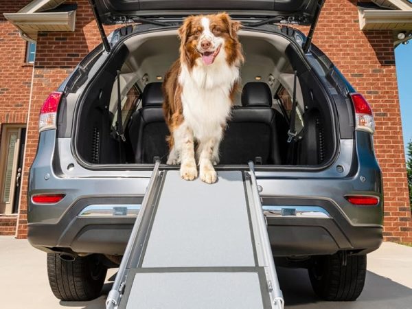 bff2be7a-fe6f-4b76-9ee9-eb334adbe11b.__CR001200900_PT0_SX800_V1.jpg PetSafe Happy Ride Compact Telescoping Dog Ramp – Portable Pet Ramp for Cars, Trucks & SUVs with Adjustable Sizing – Non-Slip Design – Lightweight Pet Mobility Assistance – Extra Long